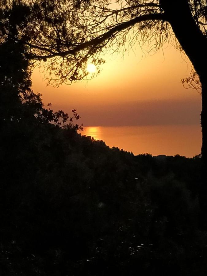 Sa Talaia Villa Lluc Luaran gambar